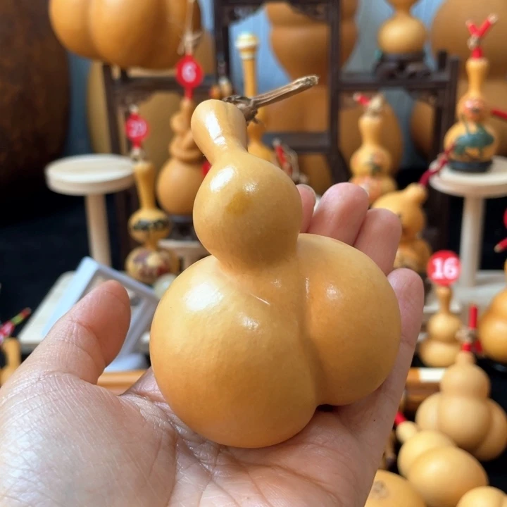 二**气葫芦丝老师在讲道理也可以