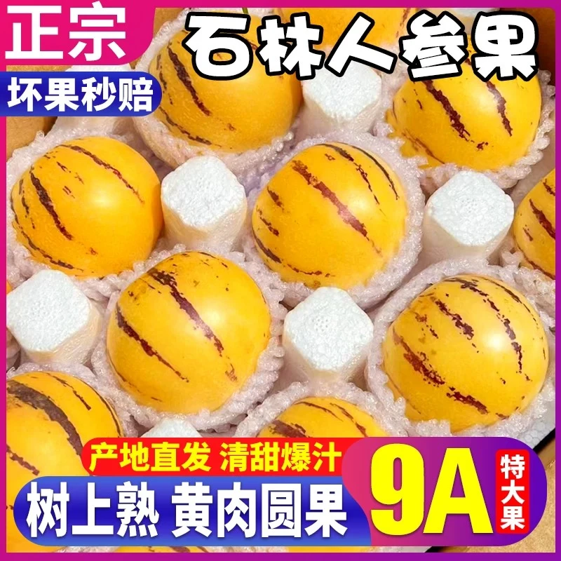 【彩箱】云南石林人参果树熟圆果黄心清甜多汁奶香果园现摘新鲜水果