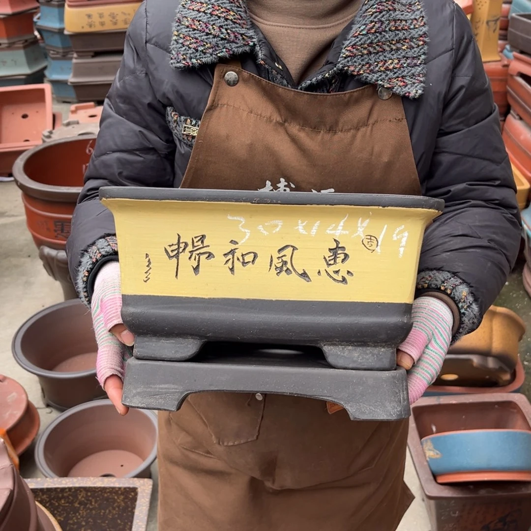 花盆紫砂盆景艺术