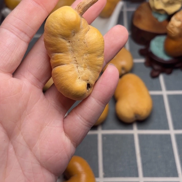 佛***人葫芦坑6666666666666