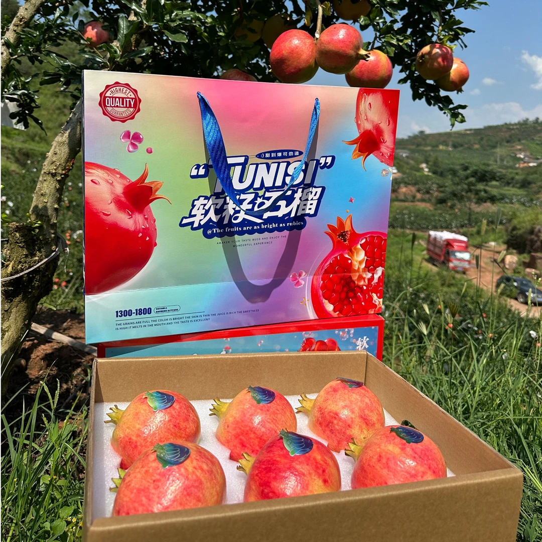 【顺丰包邮】手提礼盒中秋软籽石榴新鲜采摘应季水果产地直发