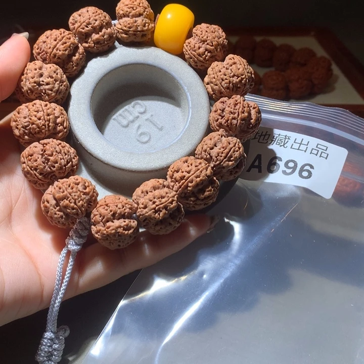 豆***斤吊坠金刚菩提22尺寸龙骨梅花双龙