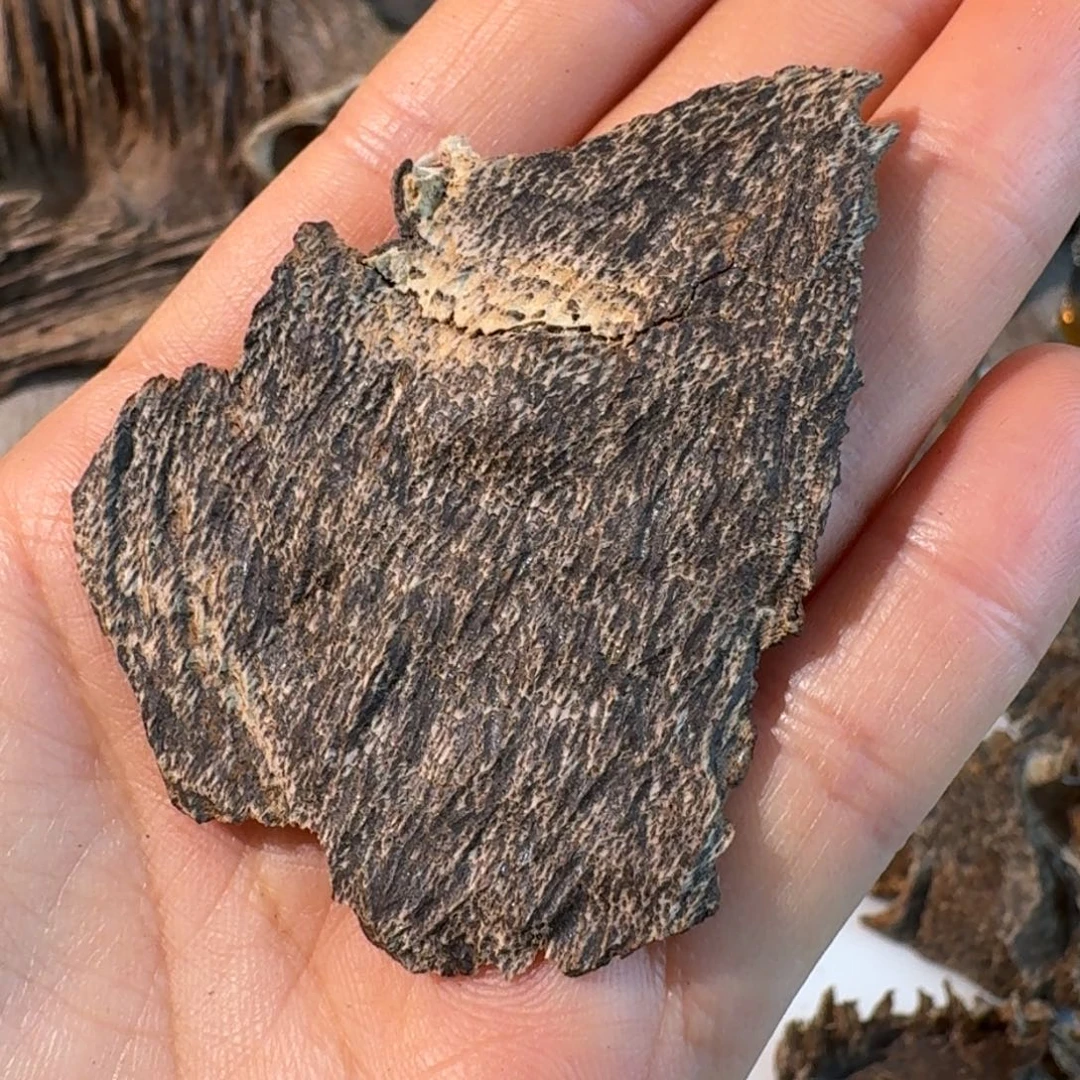 沉香沉香碎屑香港灌油壁口一块