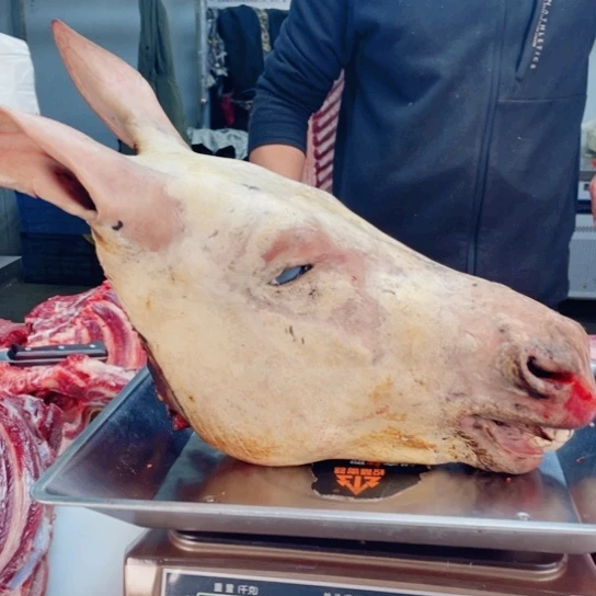 【闪购商品】冷冻保存30天包装河北省