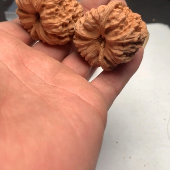 我的心也在滴血呢你