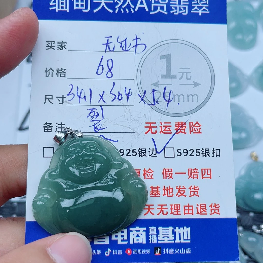 翡翠银S925镶嵌颈饰翡翠