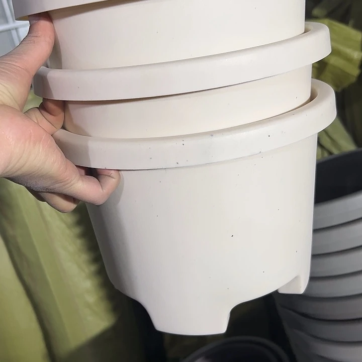 瑕疵白球根26外径19高3个