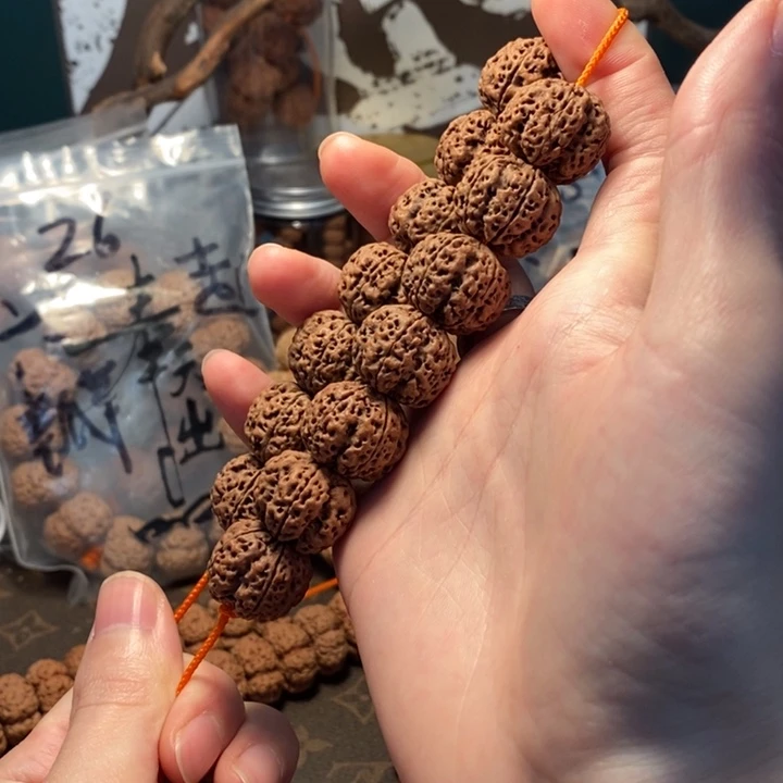 手串金刚菩提21梁蜂王梅花超头