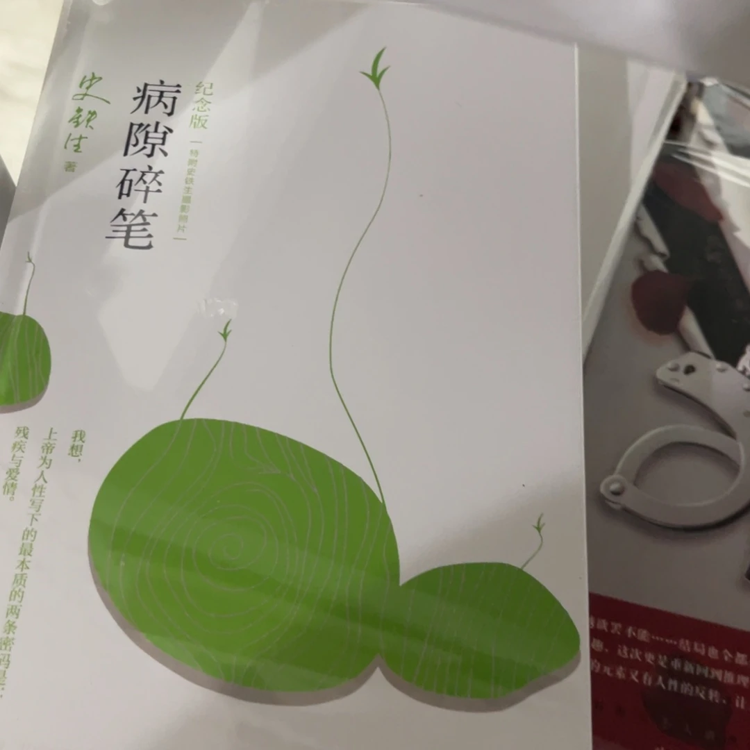 病隙碎笔精装一个