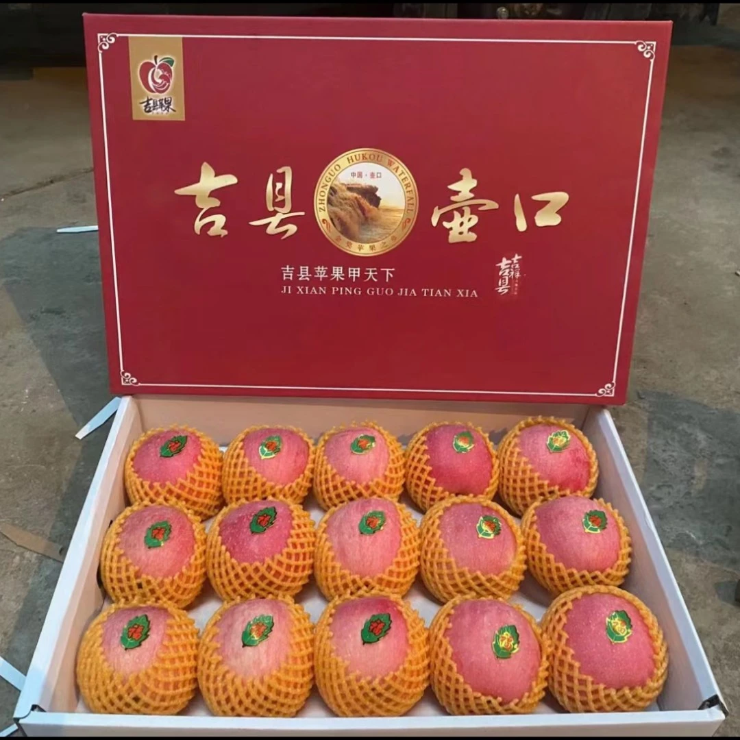 【春节礼盒】吉县苹果礼盒1箱 12-15头 约9-10斤