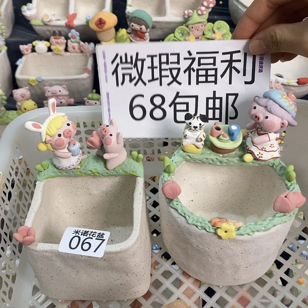 米诺多肉植物花盆067