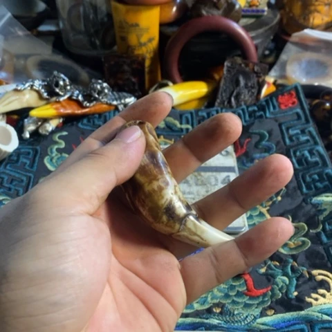 用****2寻呼台的人也太少见啦