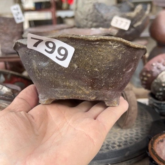 红陶哇****伙799/////