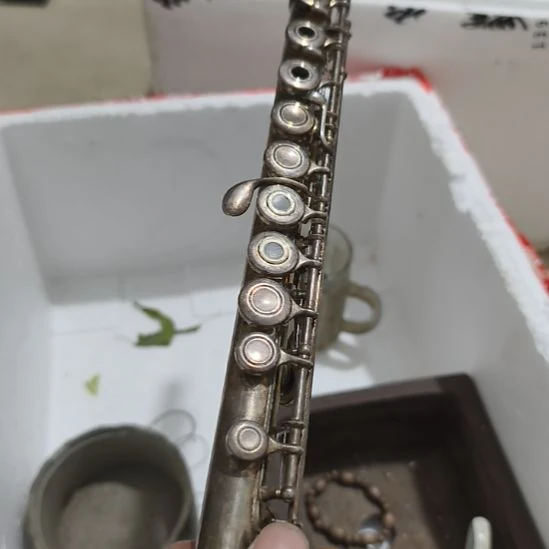 康****扇子把啦啦啦啦啦啦来来来