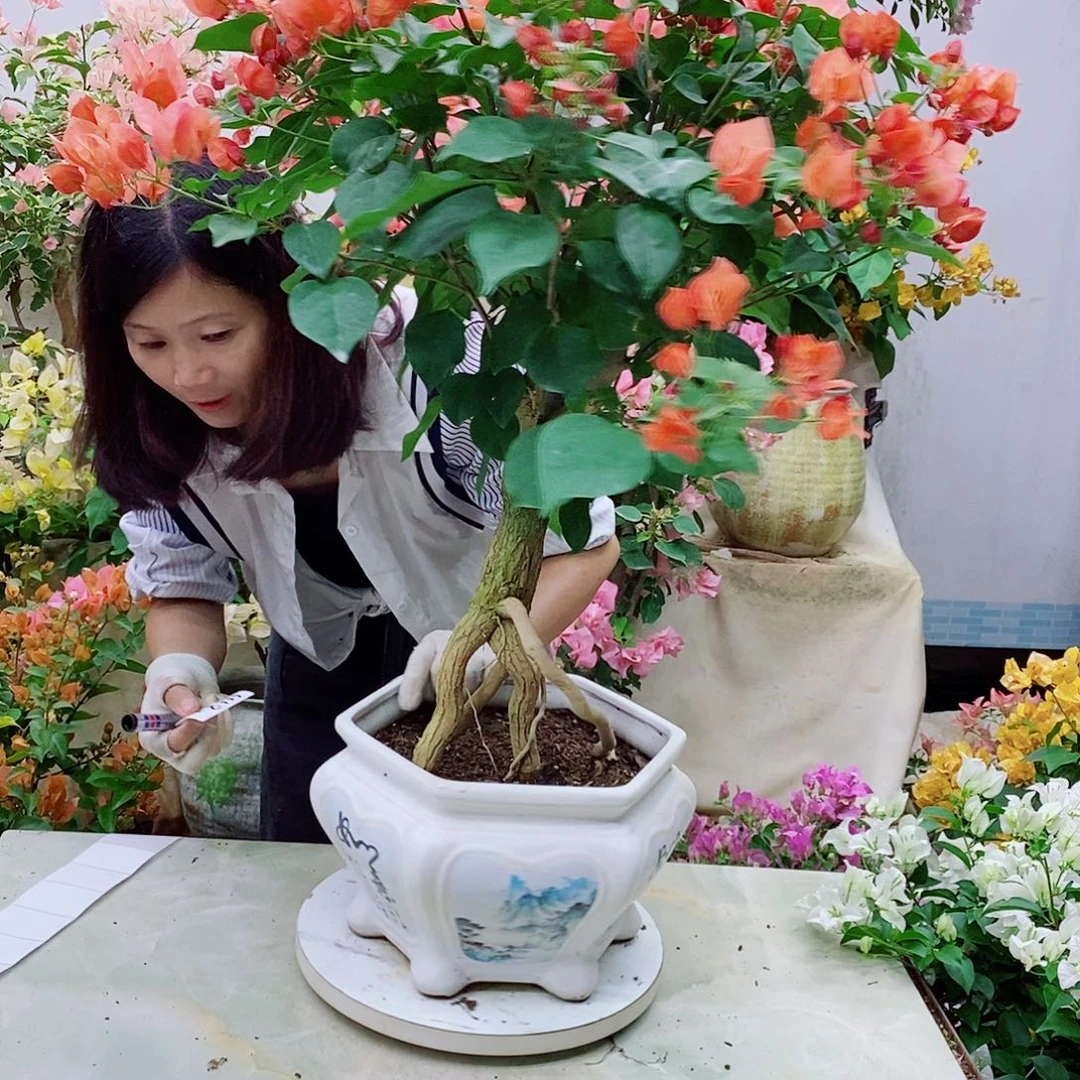 完全开放我要好好学习