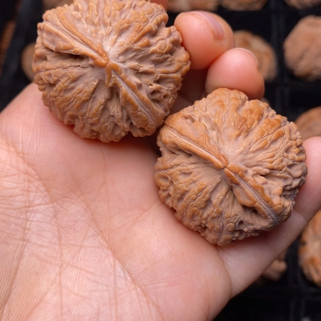 文玩核桃吊坠秦岭野生核桃