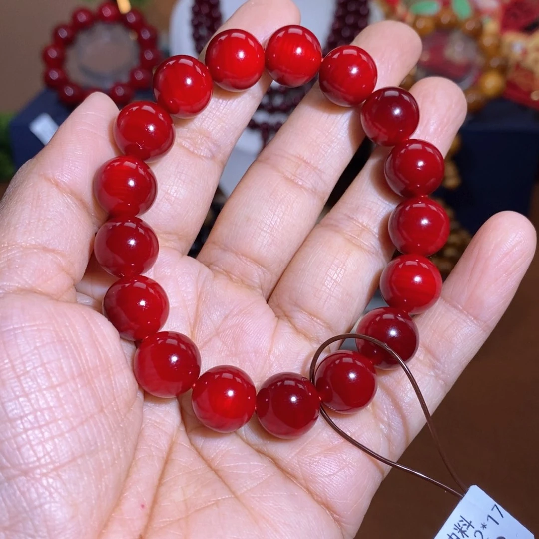 贝壳杉帝王血龙木1.2