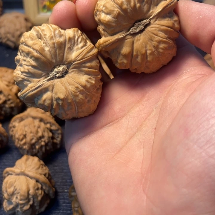 文玩核桃全品南瓜42