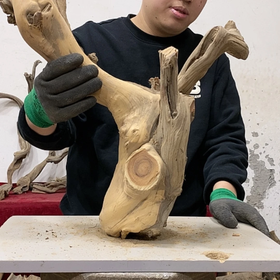 【闪购商品】柏木煌**刻我们都是好孩子