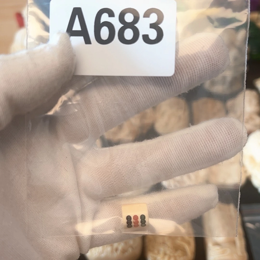 手串/手链/手镯猛犸象牙天然猛犸象牙雕刻品