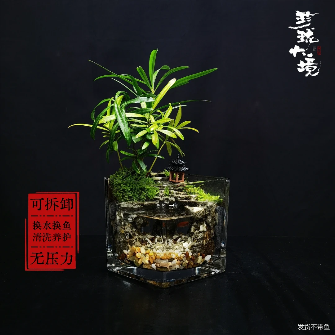 [亭台]罗汉松创意绿植桌面微景观中式国风摆件鱼缸9.5*9.5*9.5cm