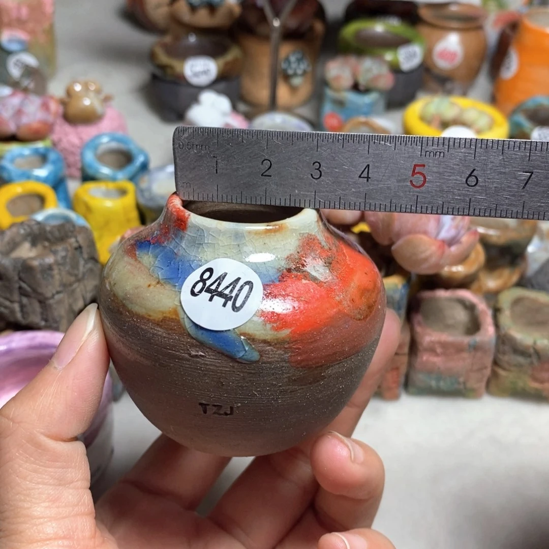 拍5送一个小礼物