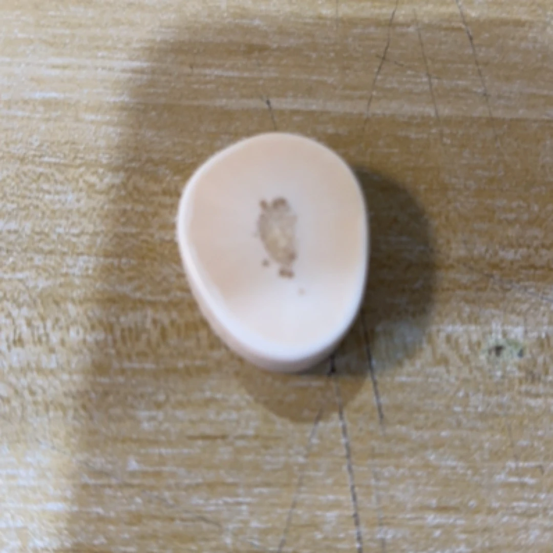 猛犸猛犸虬饼子 WT271