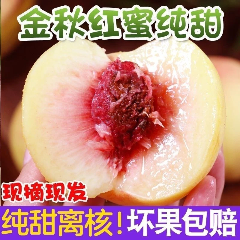 【脆甜多汁】冬桃大白桃映霜红新鲜采摘产地直发重4.5斤