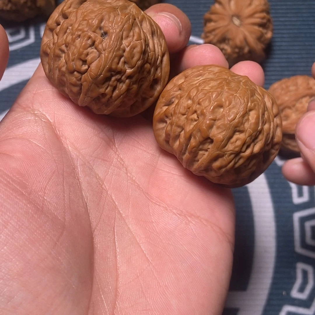 41尺全品铁锤白茬