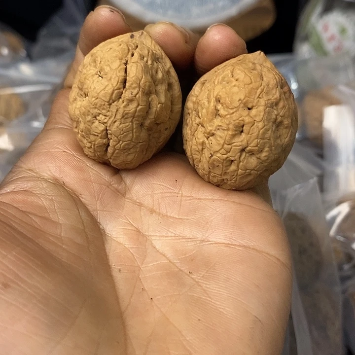 核桃云南铁核桃基地64