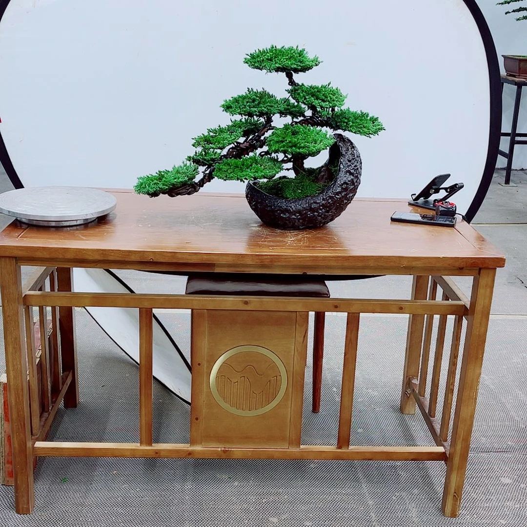 无花朵直播间一物一拍