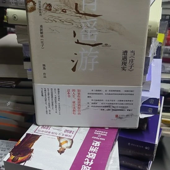 逍遥游（务必塑封）库存书