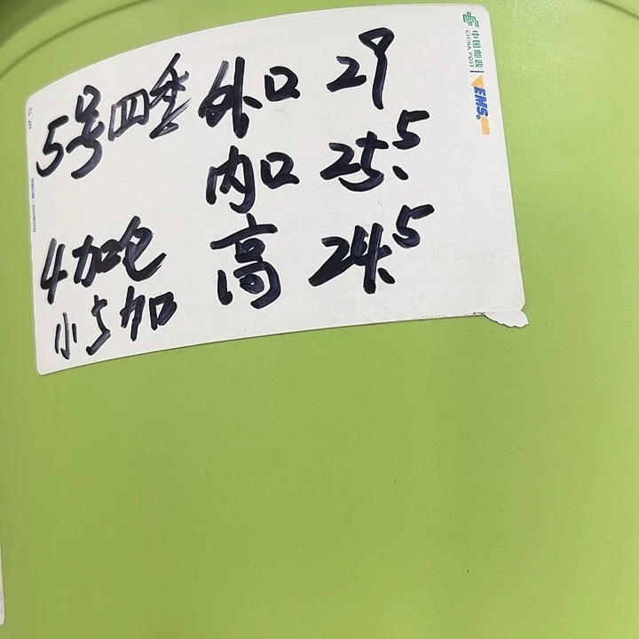 四季5号特价混色6个带托