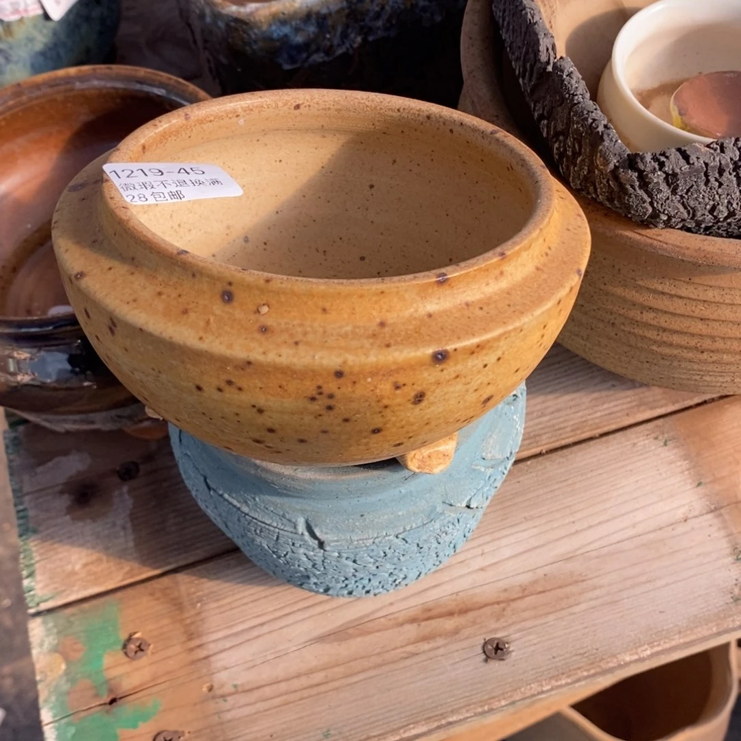 芝***糕45号多肉盆口径10