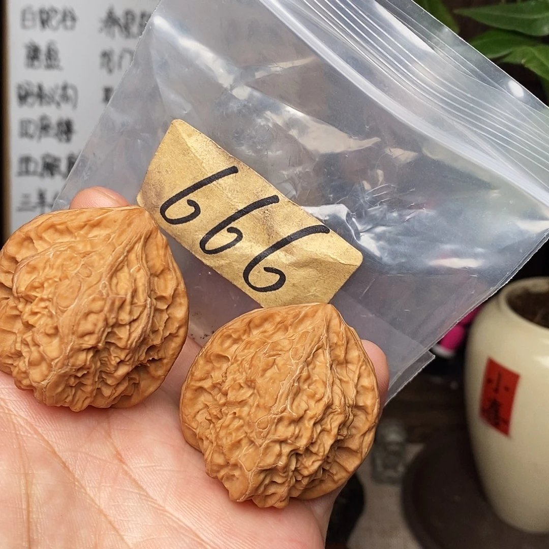 Z***Z文玩核桃吊坠火焰马蹄