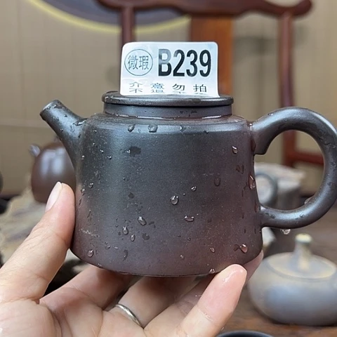 戬谷龙窑柴烧杯茶壶239