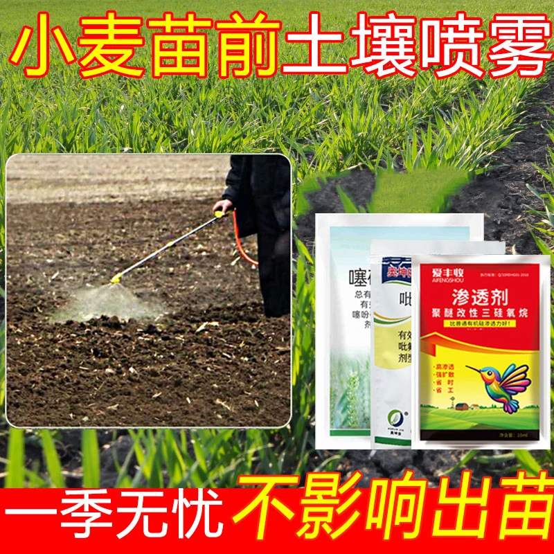 爱丰收小麦田苗前封闭使用不伤苗一季无忧家用卫生杀虫剂