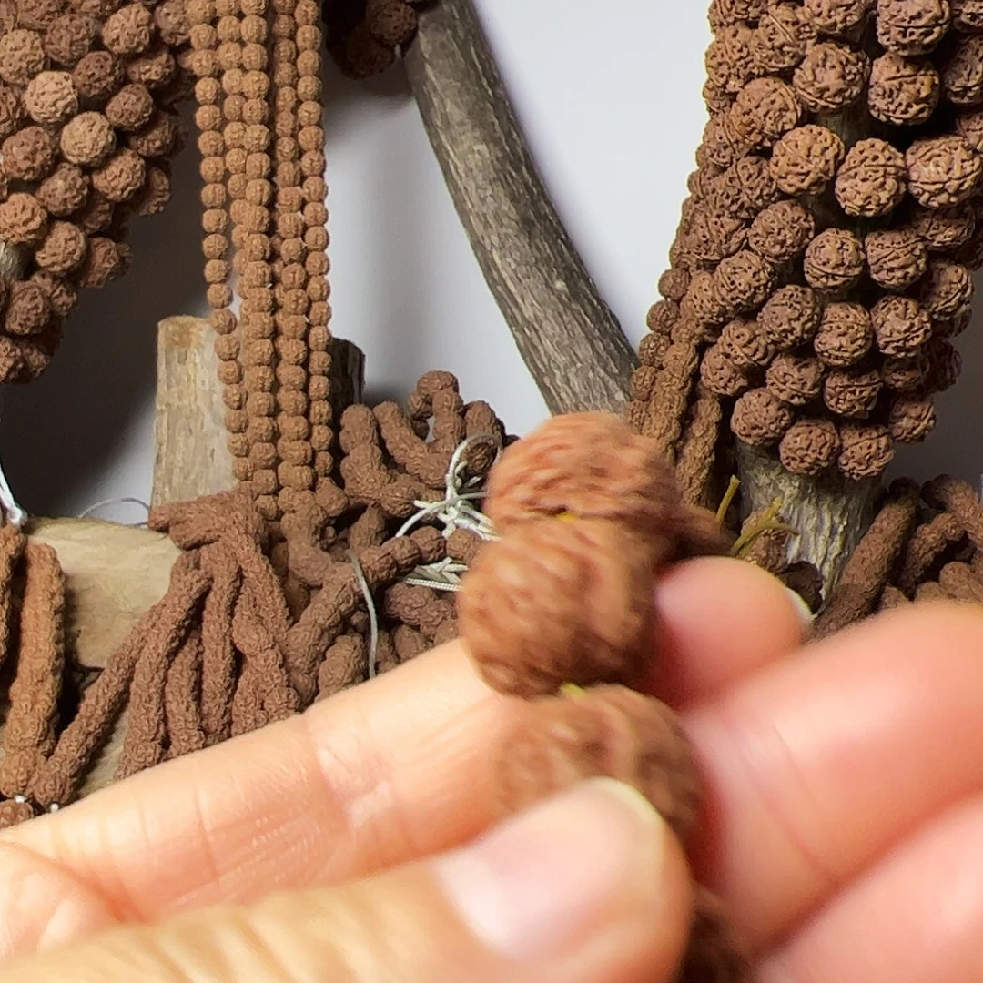 金刚菩提吊坠老树王，单圈