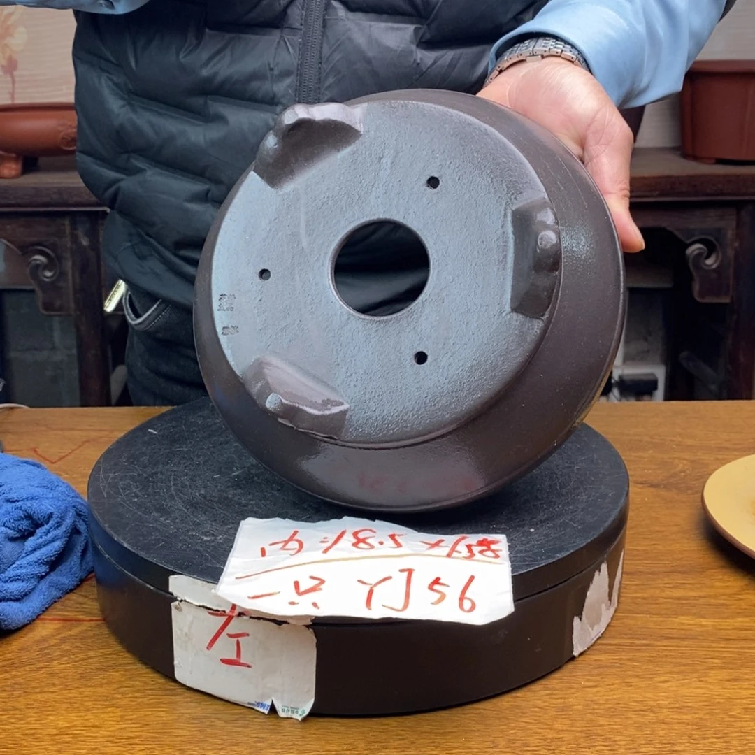 红陶货号一只YJ56