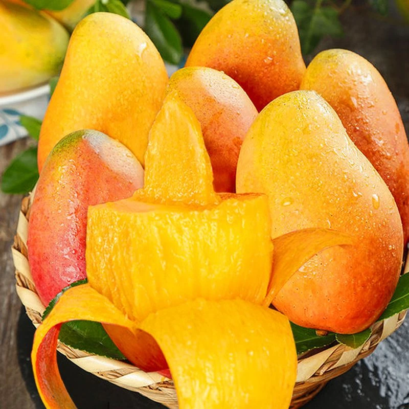 正宗广西贵妃芒新鲜当季水果助农水果应季水果（催熟后食用）