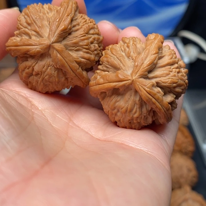 吊坠文玩核桃白奔