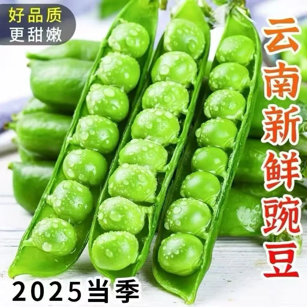 【新店福利】云南新鲜甜豌豆长寿仁豌豆带壳发货新鲜