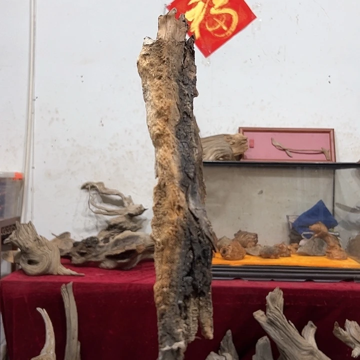 柏木◑****鼾我们的生活是以