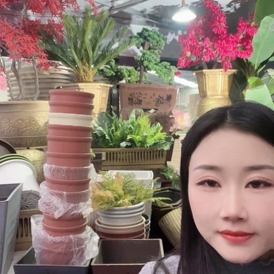 复合出口红色19公分10个