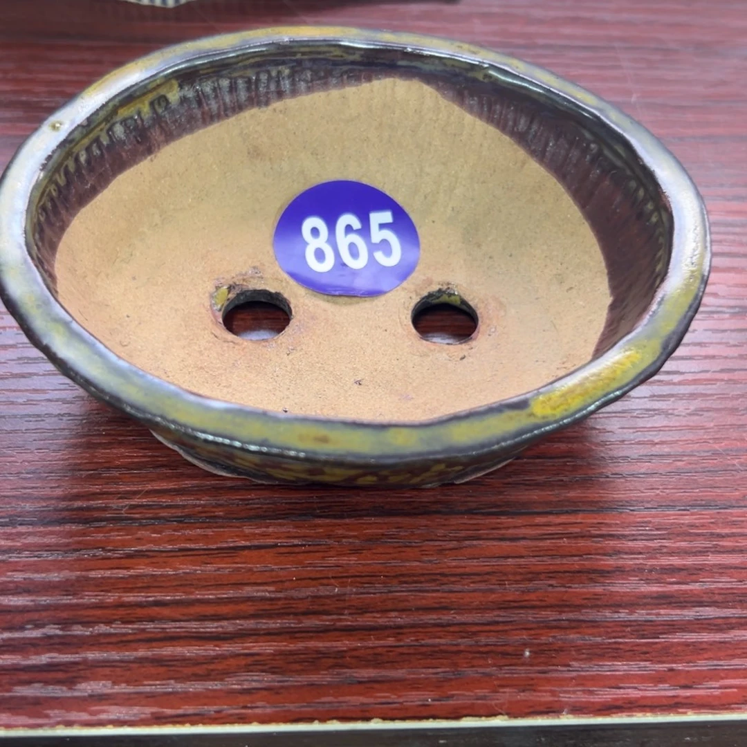 红陶海**子红红火火过大年865