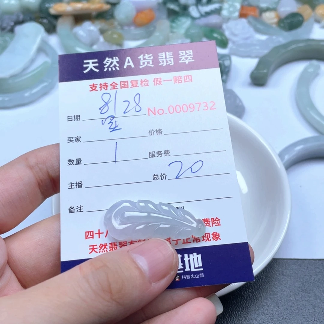 颈饰未镶嵌翡翠星***眠