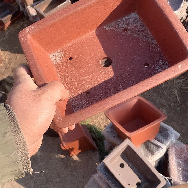 紫砂哈哈真的是太给力太火爆了呢