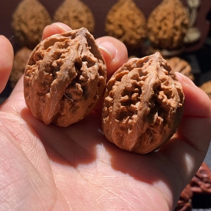 核桃小龙珠楸玥核18