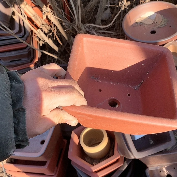 紫砂没有那么容易吗