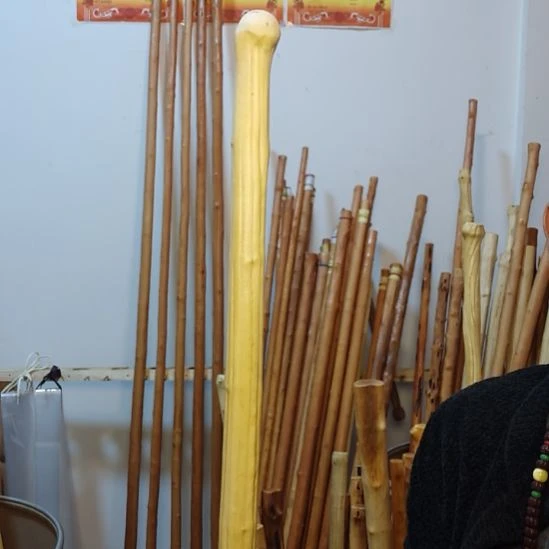 委***全秦岭石山红荀子，牛筋木